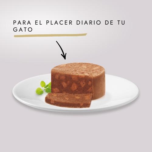 Pack 24 x GOURMET GOLD Tarrina Comp Salmon Comida húmeda 85 g
