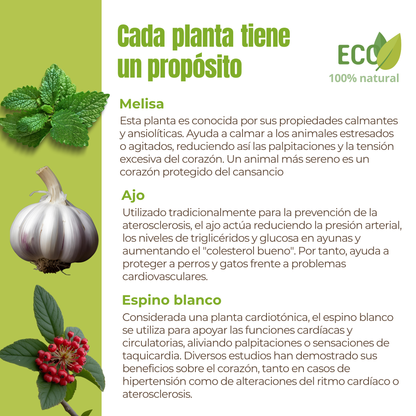 Suplemento natural para el bienestar cardiovascular de perros y gatos – ECO 100 g_2