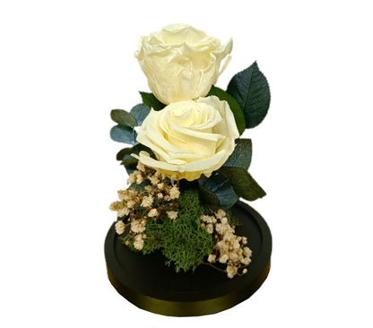 Cúpula 2 Rosas Champán 12x20cm_1