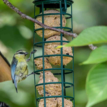 Comida Para Pajaros Silvestres, Pasteles Energeticos Para Aves, 200 X Ca. 90 Gramos Sin Red, Con Insectos_2