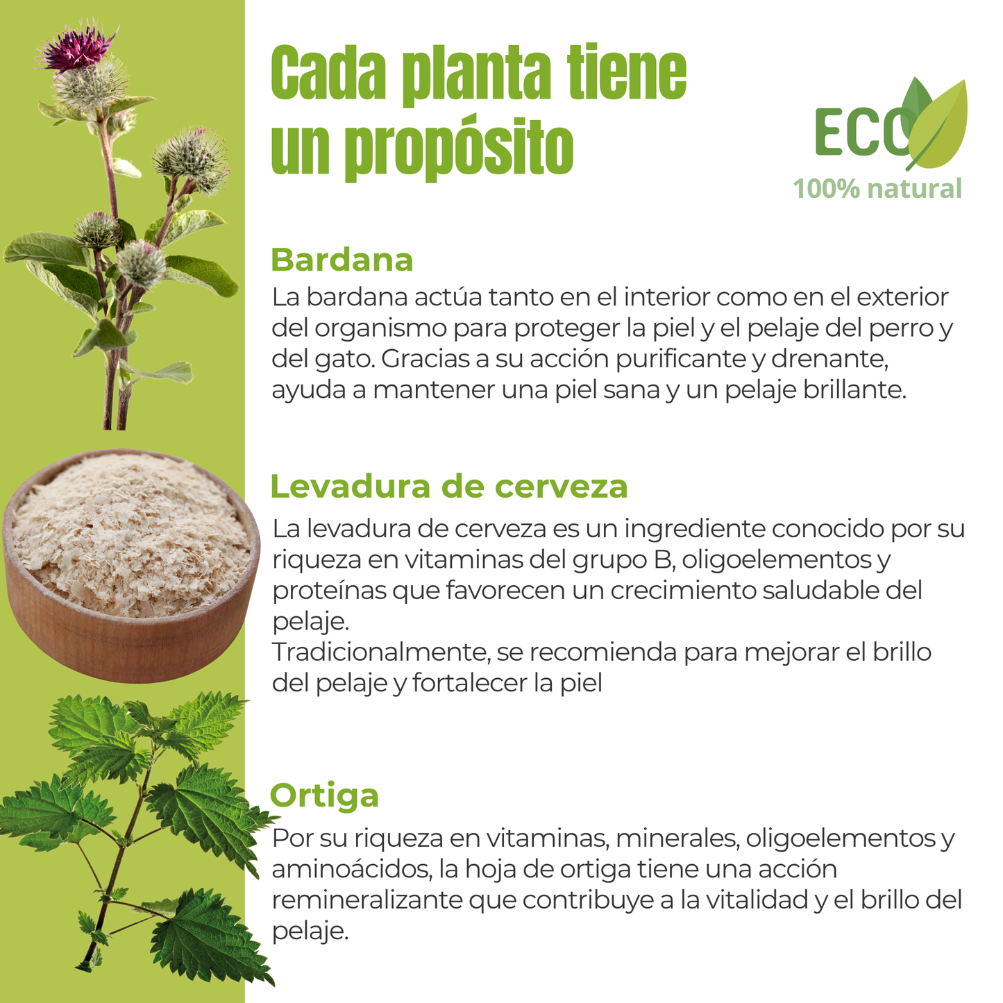 Suplemento natural para el brillo del pelaje de perros y gatos – ECO 100 g_2