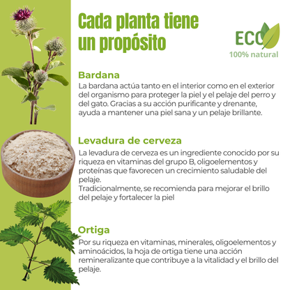Suplemento natural para el brillo del pelaje de perros y gatos – ECO 100 g_2
