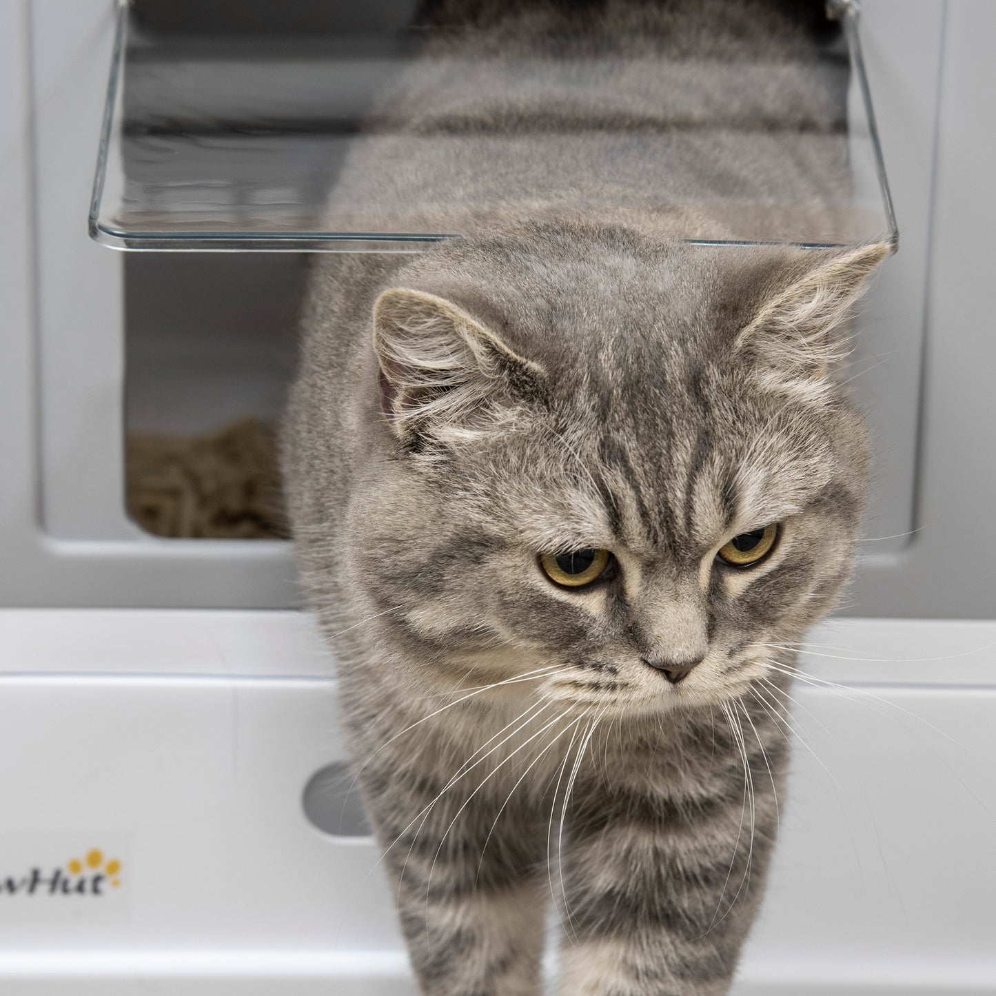 Pawhut Caja Arena Plegable Para Gatos Con Cubierta Desmontable 47,5x35,5x36,7 Cm_4