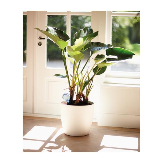 Aqua care transparente Elho