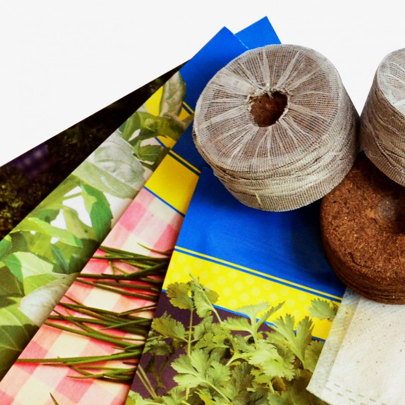 Huerto Vertical De Interior Citysens; Color Blanco; 3 Macetas; Incluye Kit De Semillas De Plantas Aromáticas