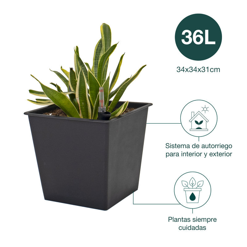 Maceta Con Autorriego De Polipropileno 36 L 34x34x31 Cm Hortalia_4