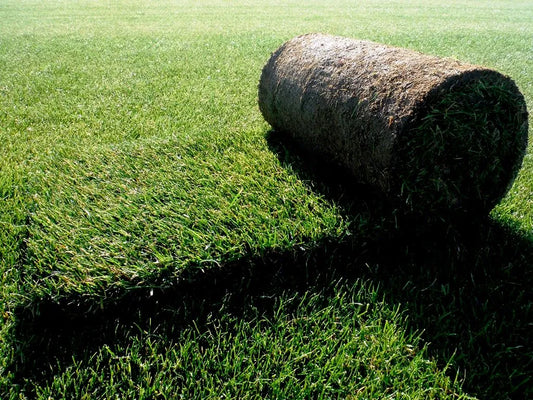 Tepe Césped Natural Por Metro Cuadrado (mínimo 25 Metros)_0
