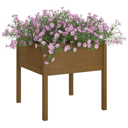 Jardineras 2 Uds Madera Maciza De Pino Marrón Miel 70x70x70 Cm_2