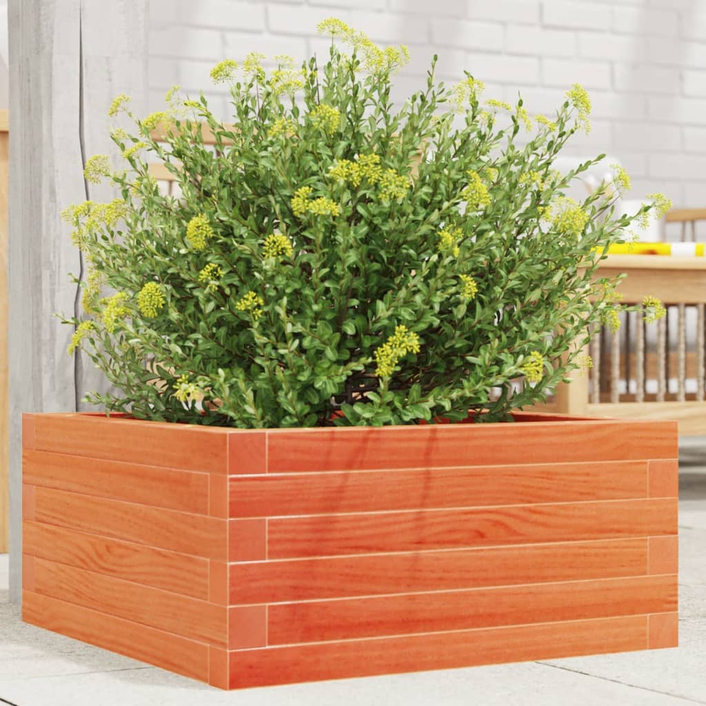 Jardinera De Madera Maciza De Pino Marrón Cera 50x50x23 Cm_1