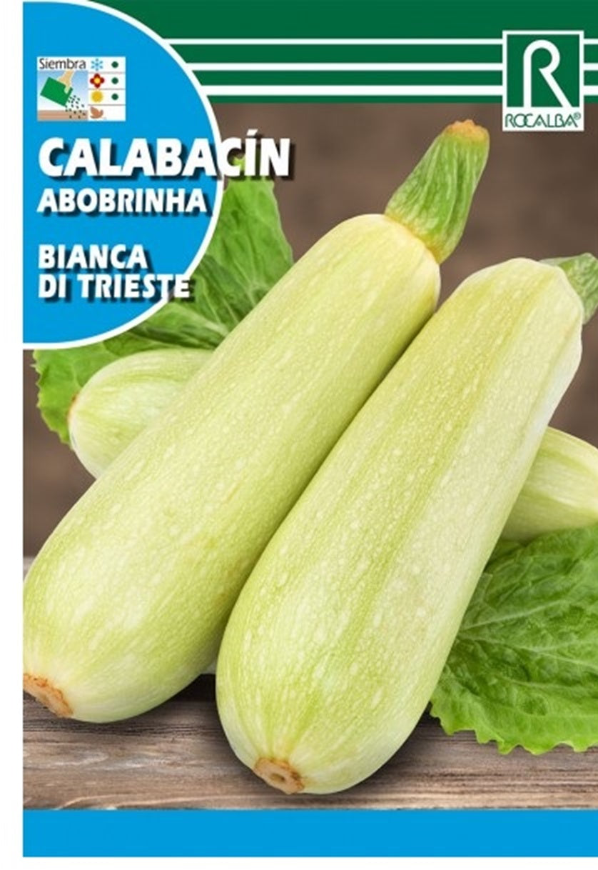 Semillas Calabacín Blanco Di Trieste 8g_0
