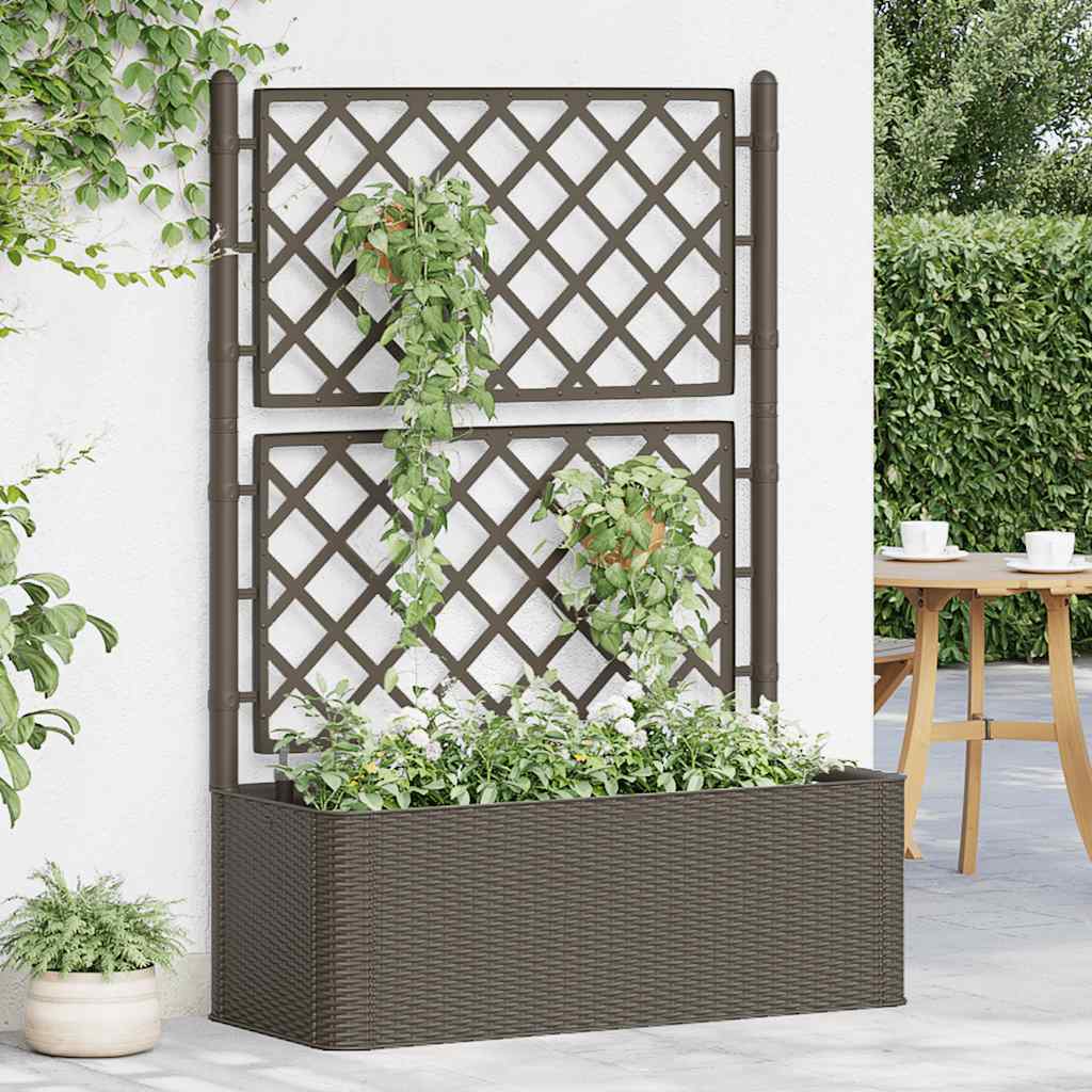 Arriate Con Enrejado Y Sistema De Riego Automático Moca_2