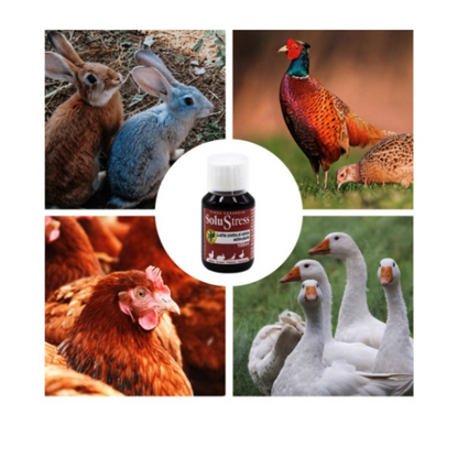 SoluStress - Apoyo nutricional a los animales después de viajes y otras situaciones de estrés - Producto 100 % natural_1
