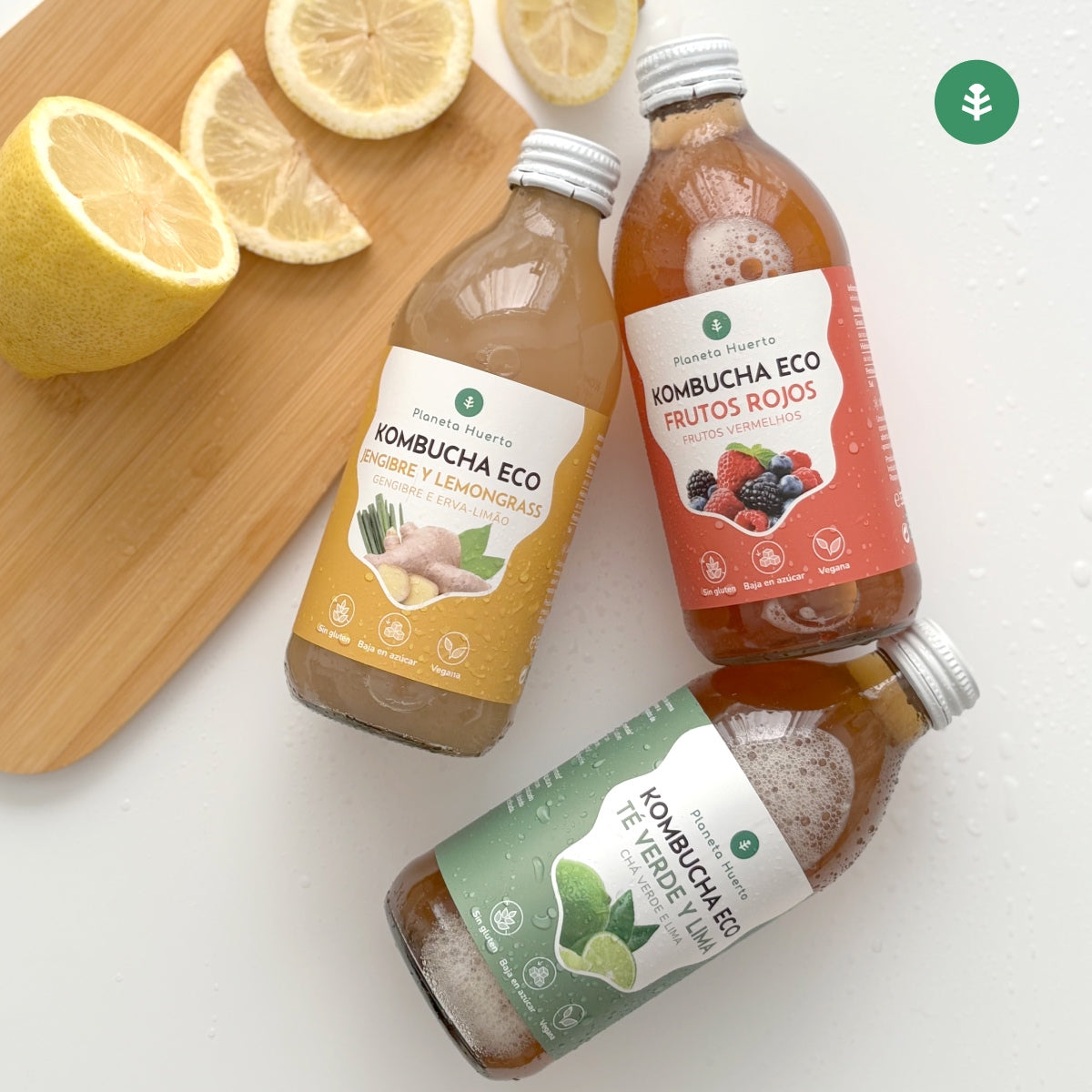 Pack 12x Kombucha ECO té verde y lima Planeta Huerto 330 ml