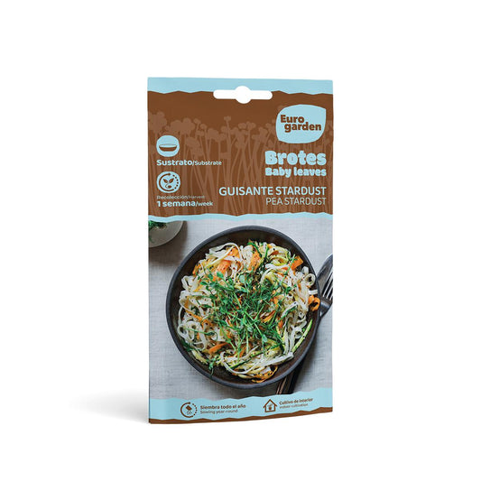 Semillas brotes Guisante Stardust Eurogarden