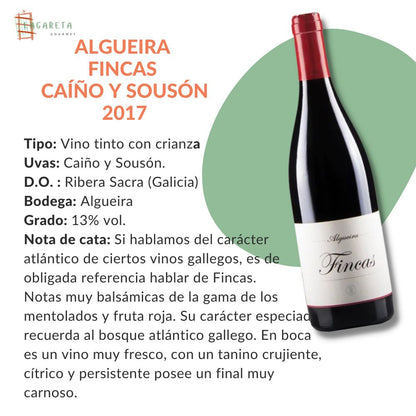 Vino Tinto - Fincas - Caíño Y Sousón 2017 - Adega Algueira_1