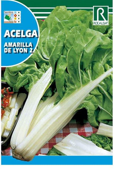 Semillas Acelga Amarilla De Lyon 10g