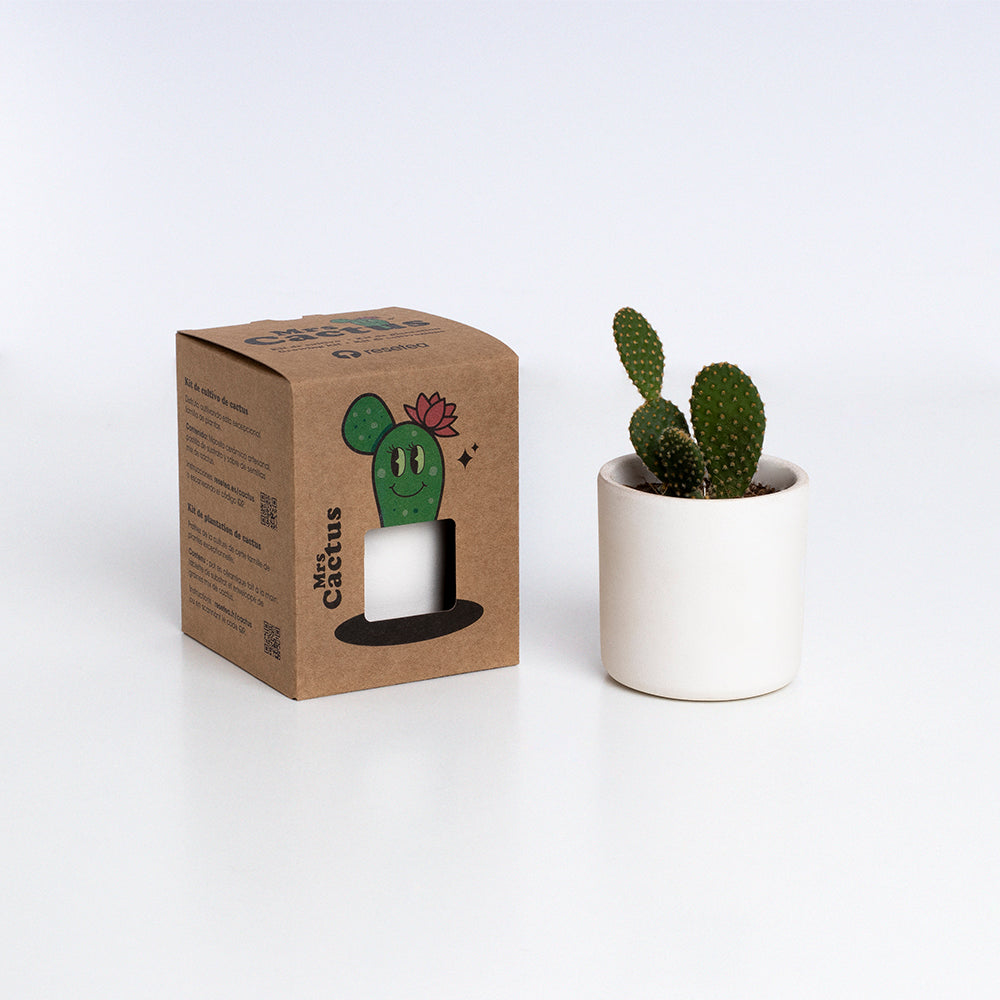 Mrs. Cactus | Kit De Cultivo De Cactus Con Maceta De Barro Artesanal_2