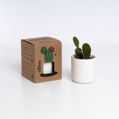 Mrs. Cactus | Kit De Cultivo De Cactus Con Maceta De Barro Artesanal_2