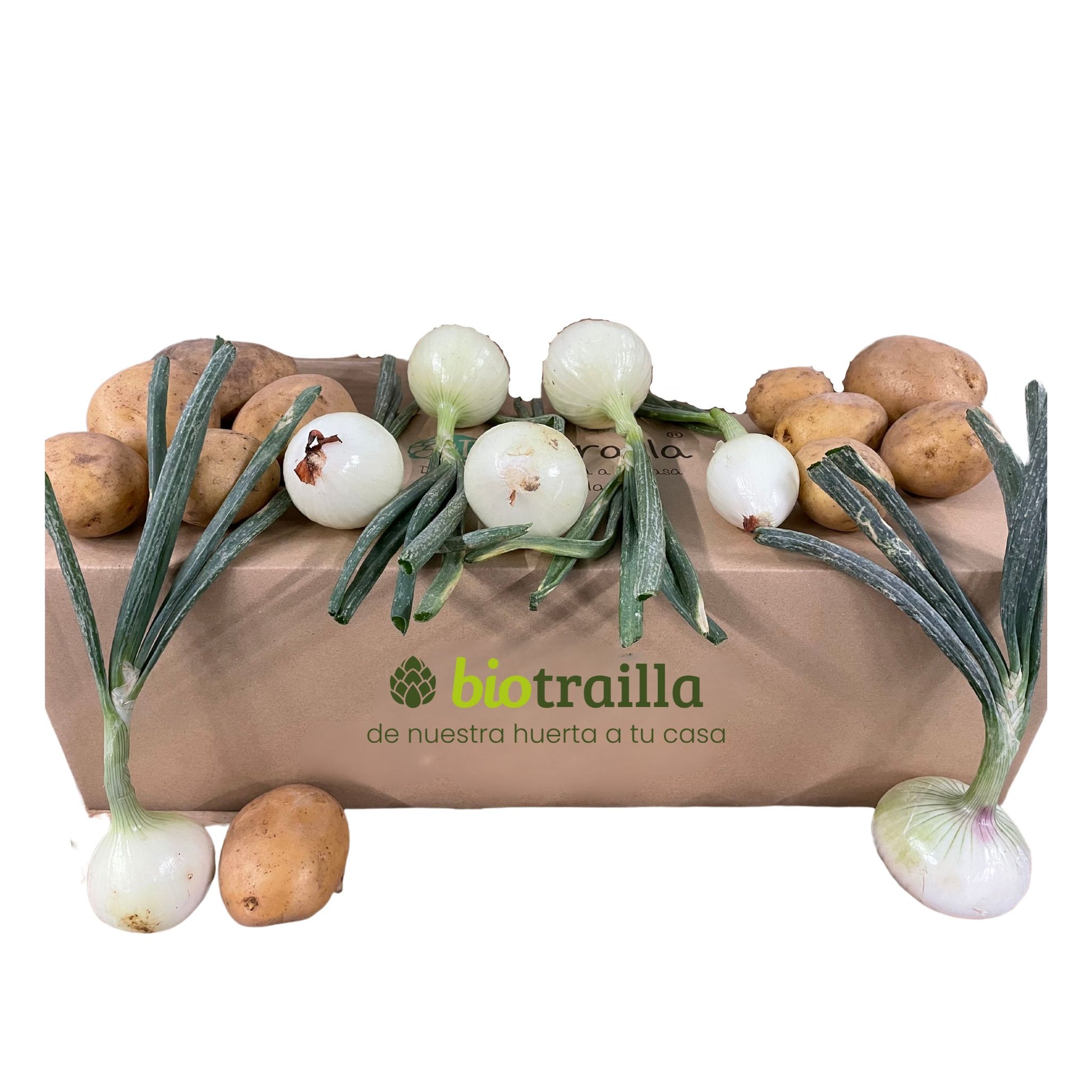 Caja 10kg de patatas y cebollas BIO de La Huerta de Navarra_0