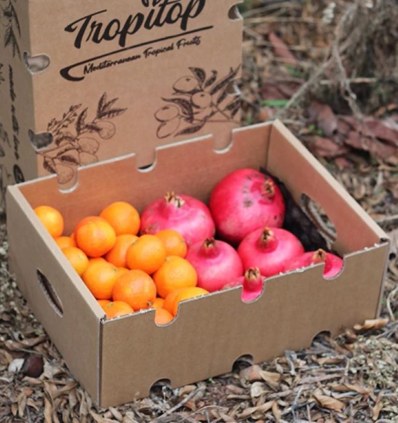 Caja 4kg Mix Mandarinas Y Granadas | 2kg De Cada Fruta_1