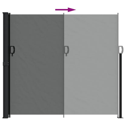 Vidaxl Toldo Lateral Retráctil Gris Antracita 180x600 Cm_4