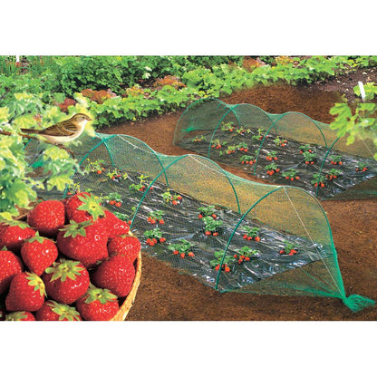 Malla anti pájaros 4 x 12 m Birdnet Nortene