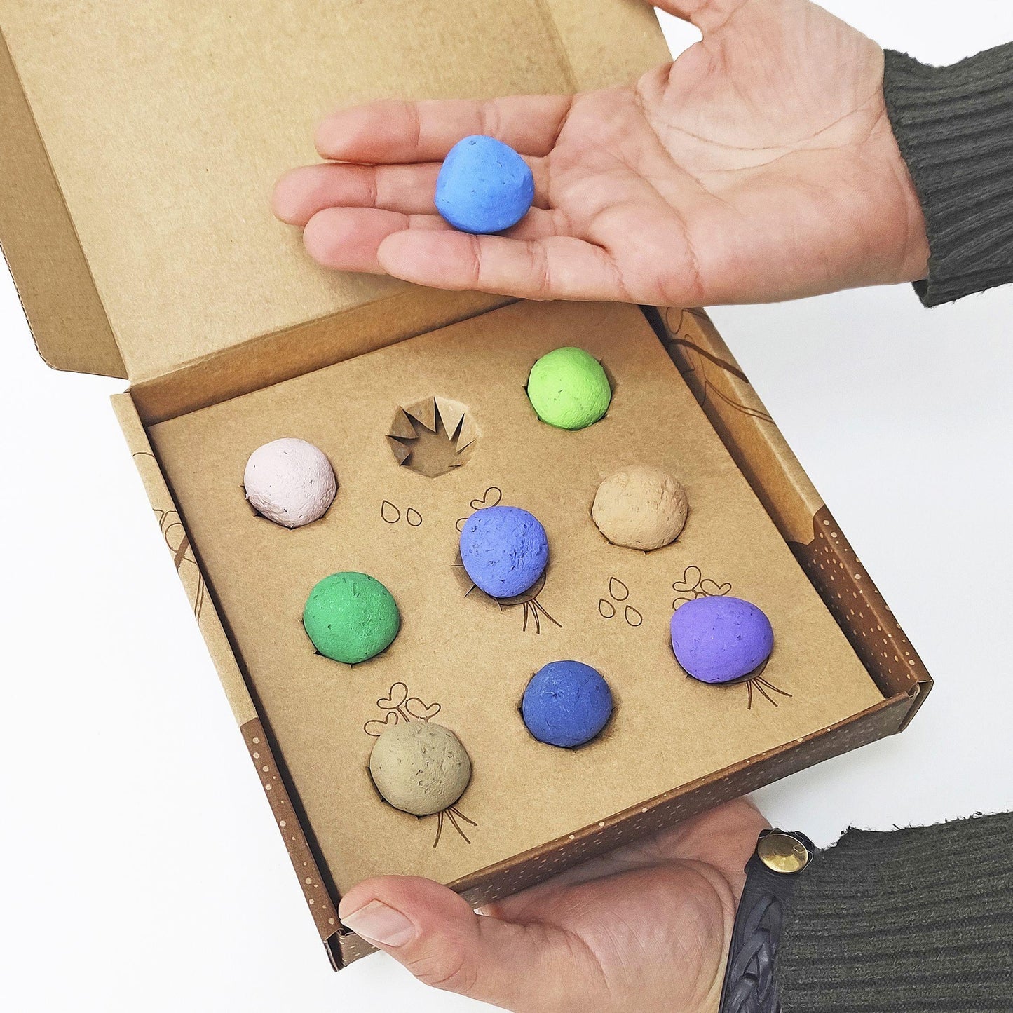 Bombas de semillas Huerta Mediterránea