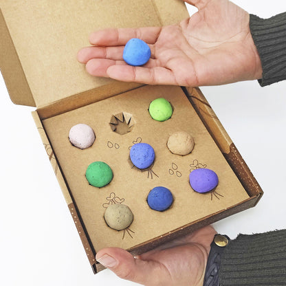 Bombas de semillas Flores Silvestres