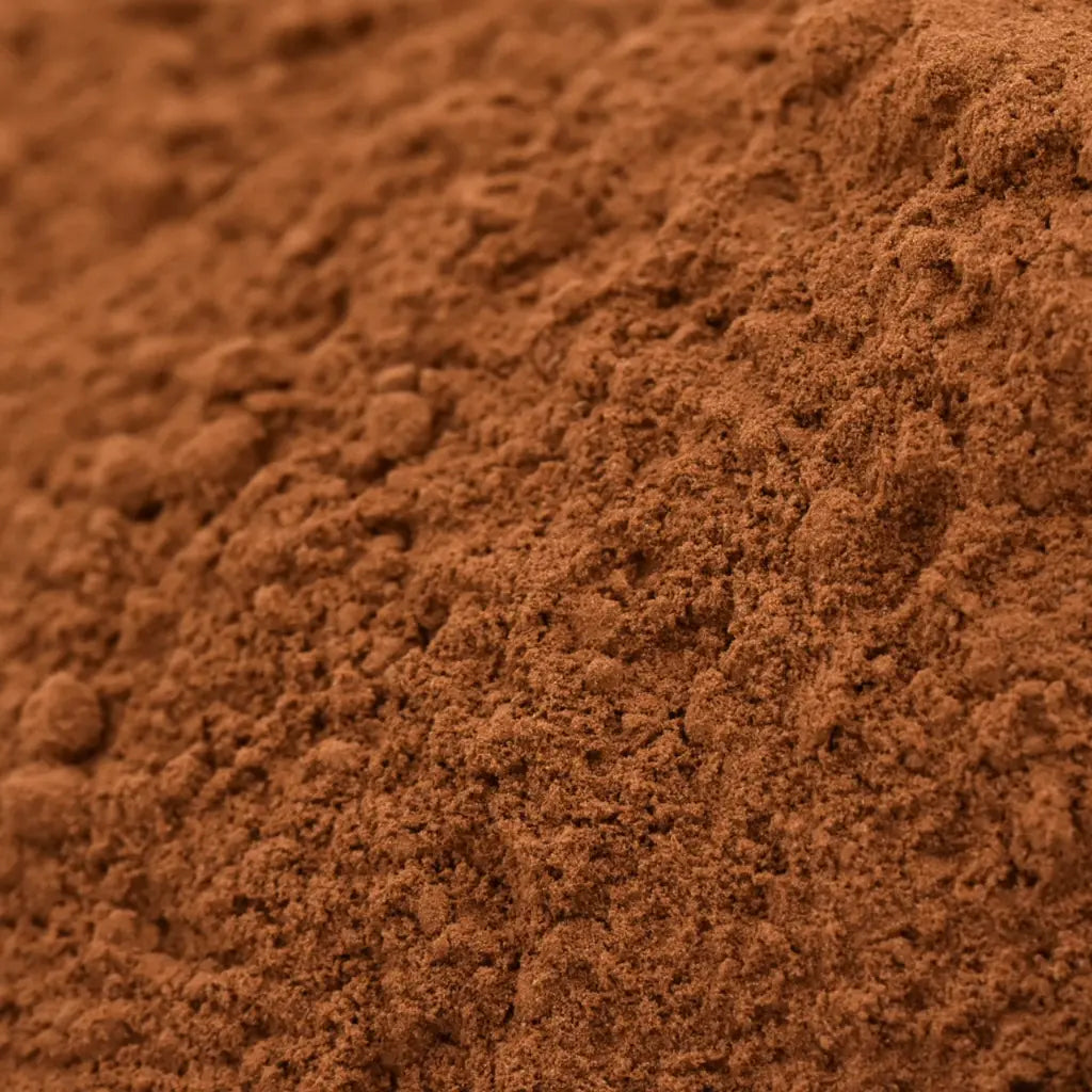 Reishi En Polvo Bio - 100g_1