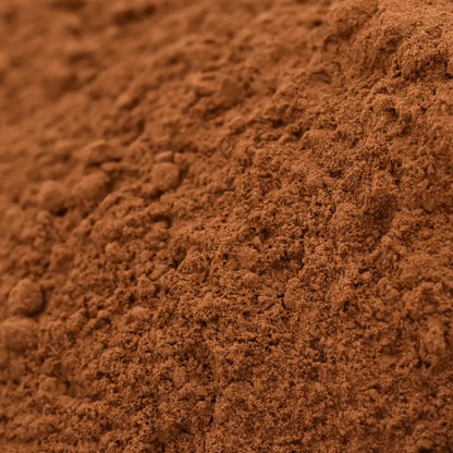 Reishi En Polvo Bio - 100g_1