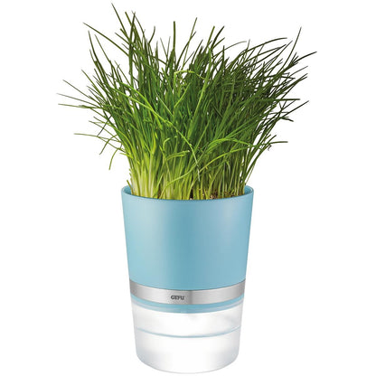 Macetero para hierbas BOTANICO Gefu Azul celeste