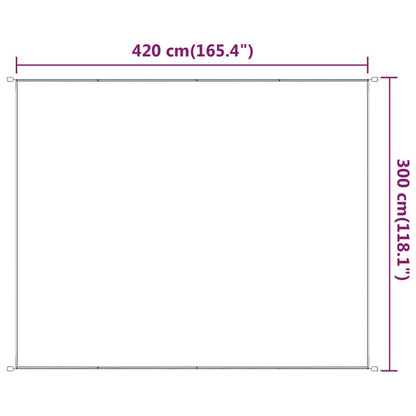 Vidaxl Toldo Vertical Gris Antracita 300x420 Cm Tela Oxford_2
