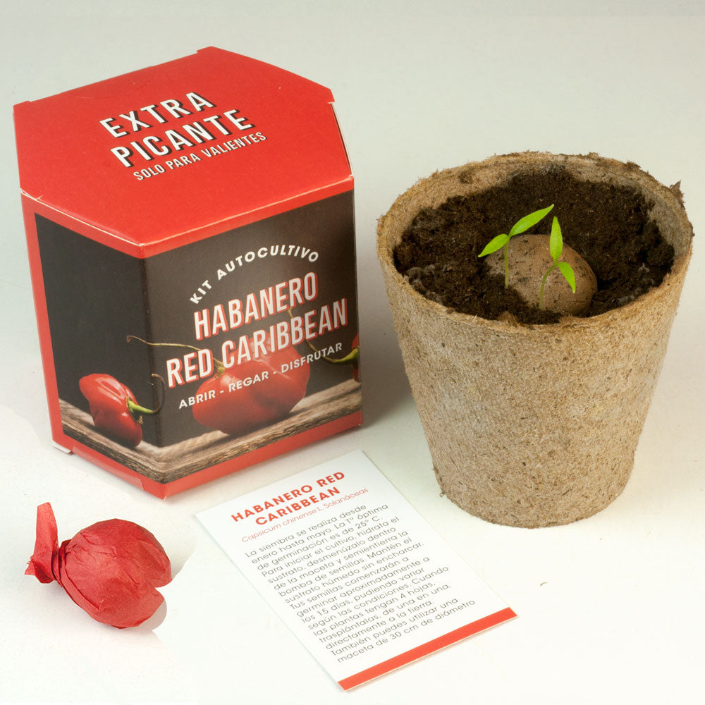 Kit De Autocultivo Habanero Red Caribbean | Pimiento Extra Picante (450.000 Shu)_2