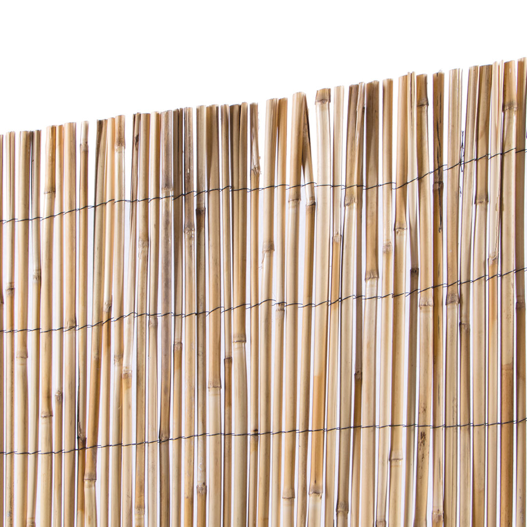 Cañizo Entero Varilla Media - Cañas Naturales Y Ecológicas 2x5 M / Multicolor_1