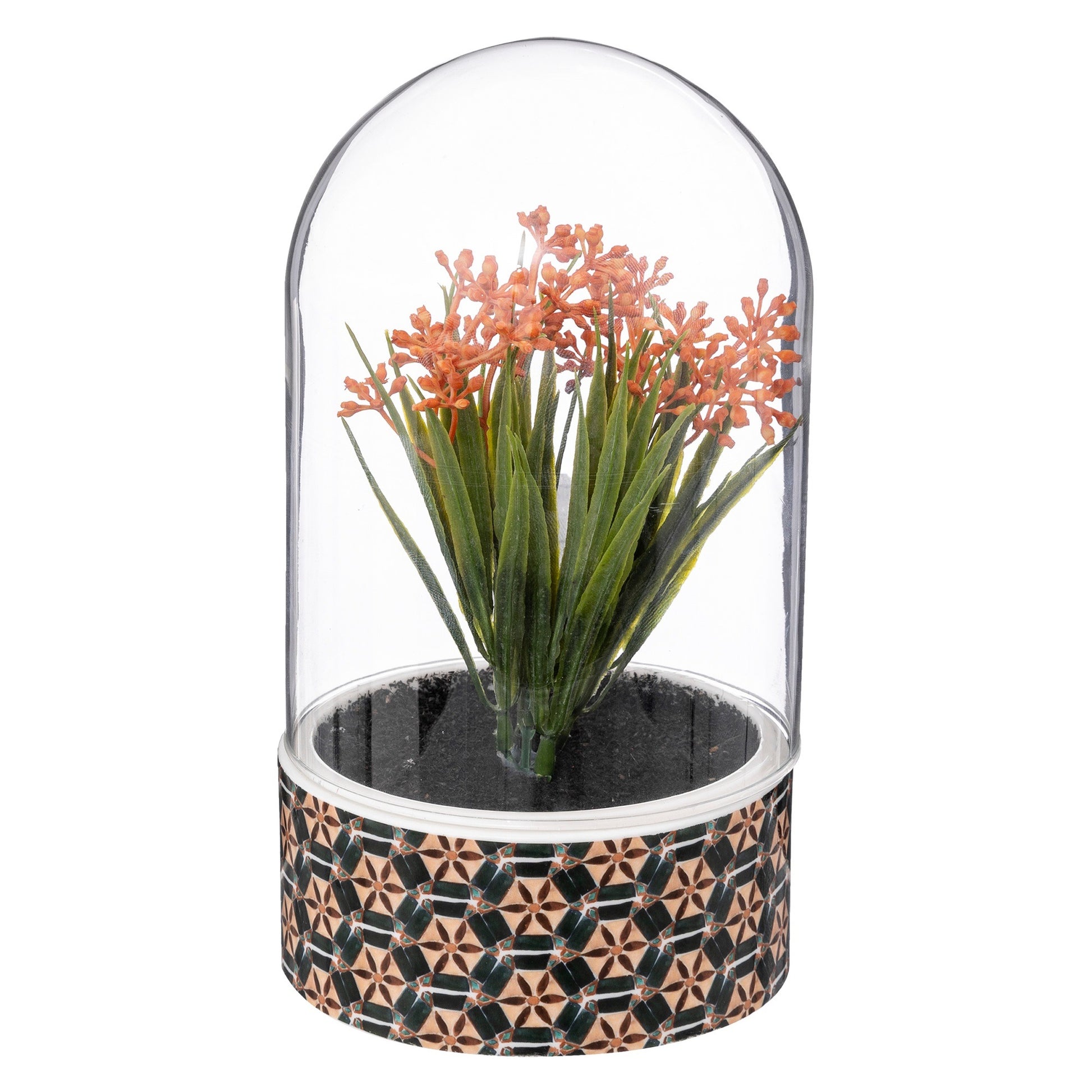 Planta ali Cloche H21cm_0