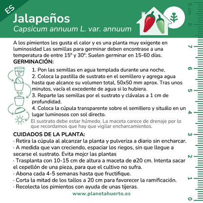 Kit de autocultivo Jalapeños Planeta Huerto