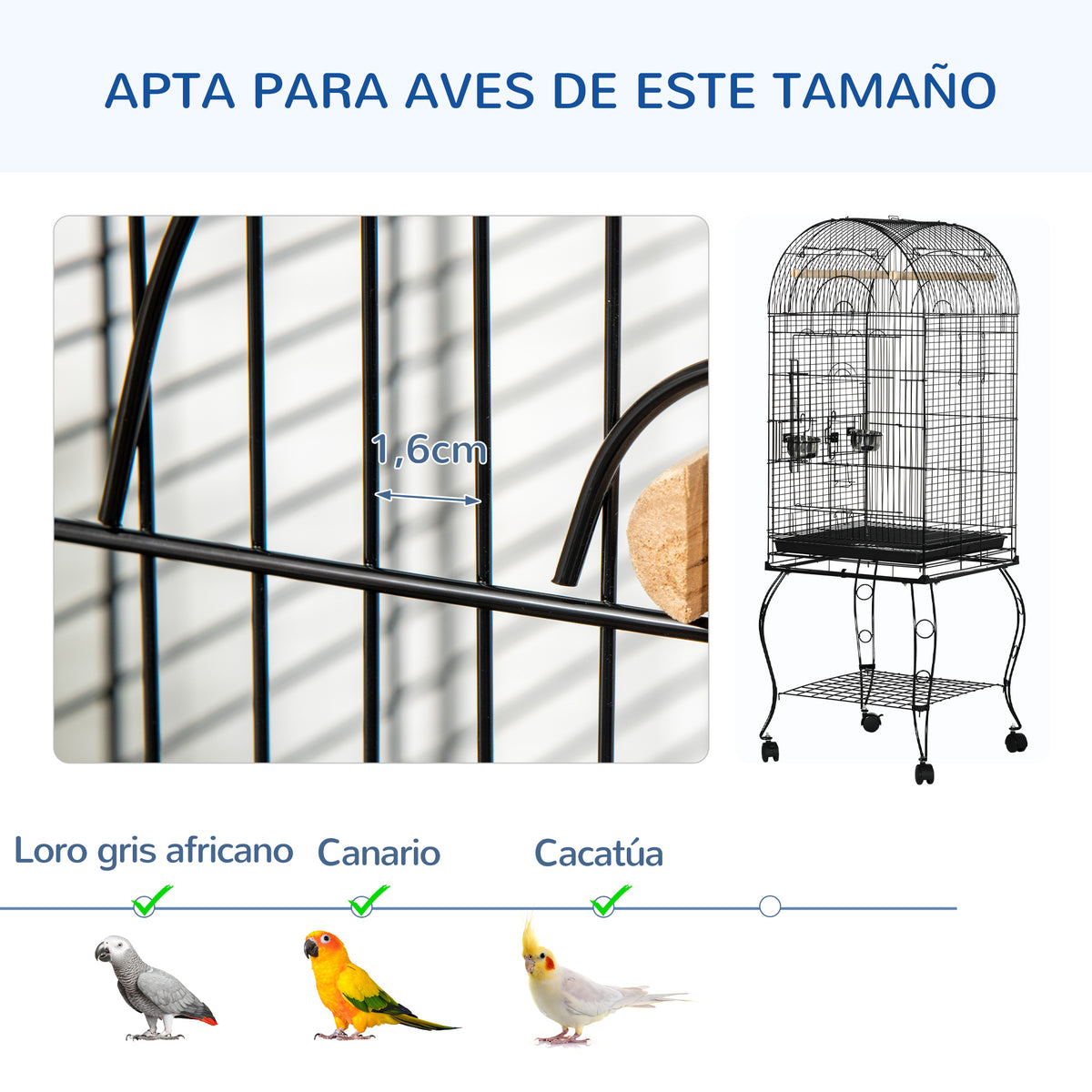 Jaula Para Pájaros Pawhut Acero Negro 51x51x153 Cm_5