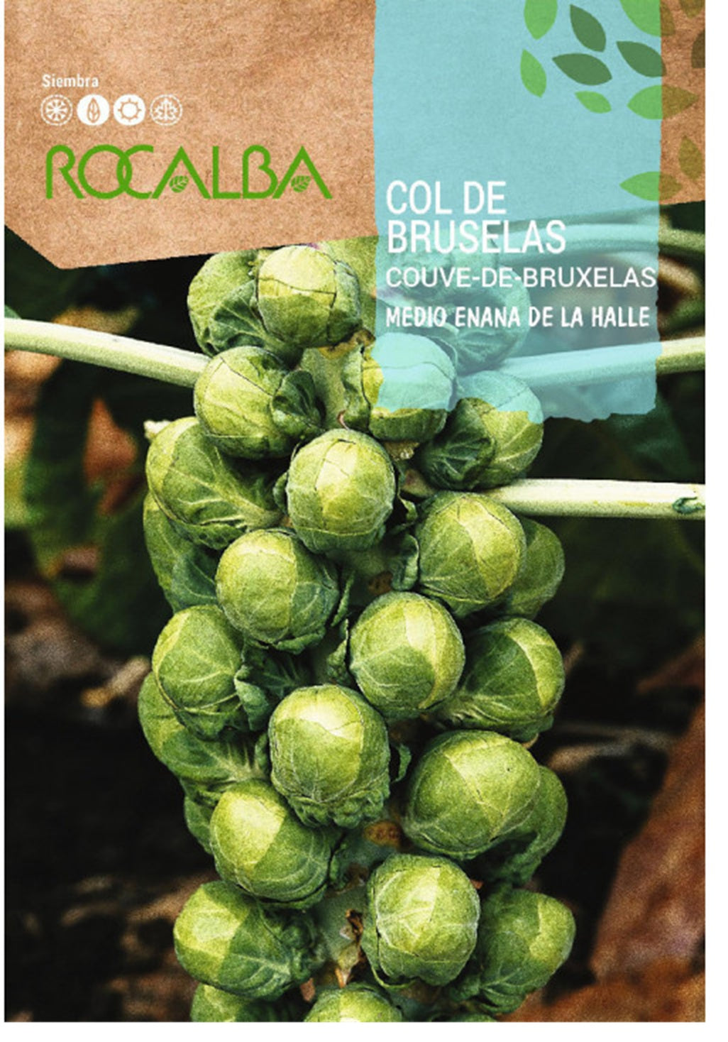 Semillas Col De Bruselas 8g_0
