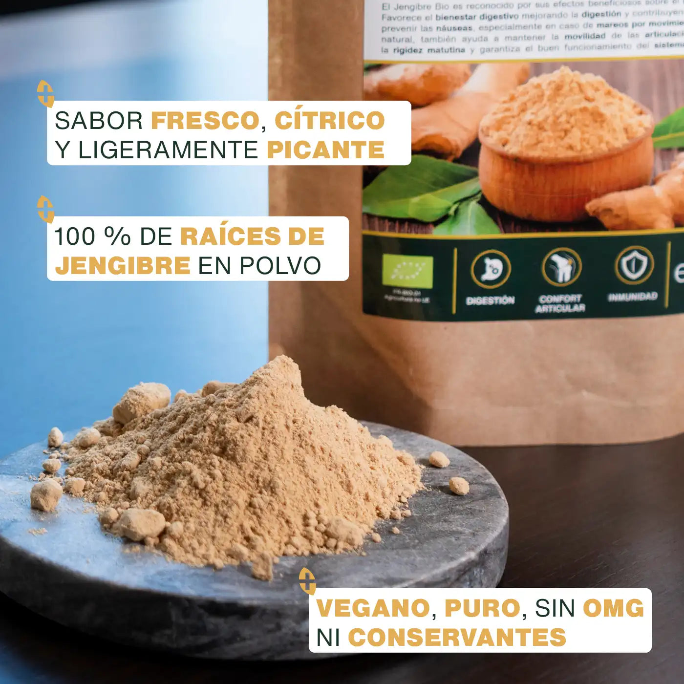 Jengibre En Polvo Bio 200g_2
