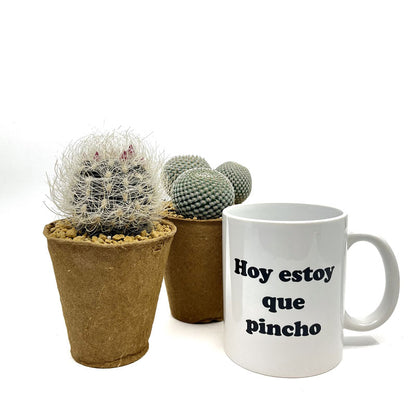 Pack Regalo Día Del Padre Taza Pincho + Plantas_2