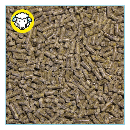 Pienso ECOLÓGICO para Ovejas Reposición 20kg – Alimentación Natural y Equilibrada_2