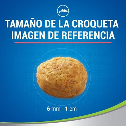 Dentalife Salmón Snack dental para gatos 40 g