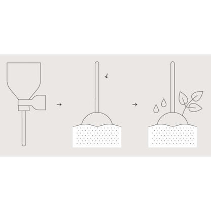 Cocktail Garden Lollipop semillas