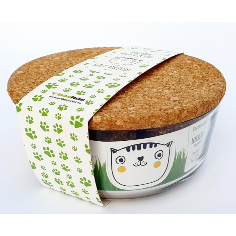 Hierba para gatos set de cultivo