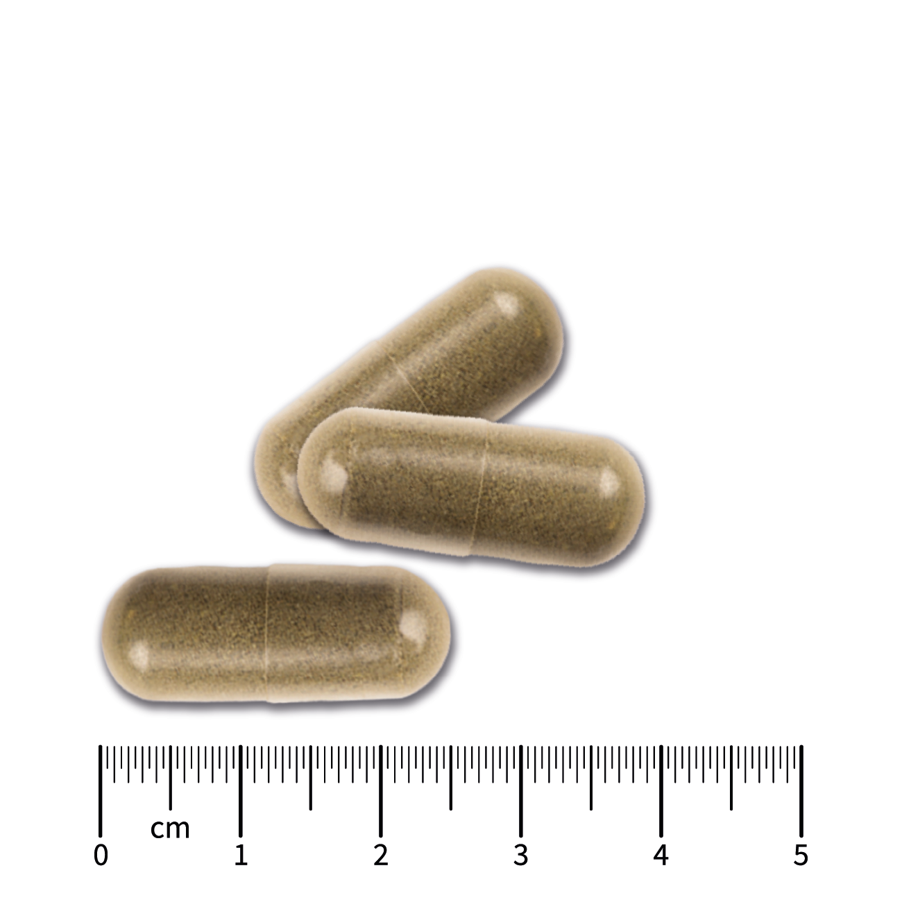 Garcinia Cambogia_2