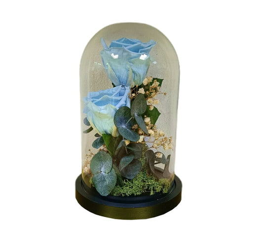 Cúpula 2 Rosas Azul Claro 12x20cm_0
