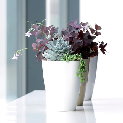 Maceta Coubi Orchid 1,6l., Dimensiones (mm) 132x132x165, Color Blanco_3