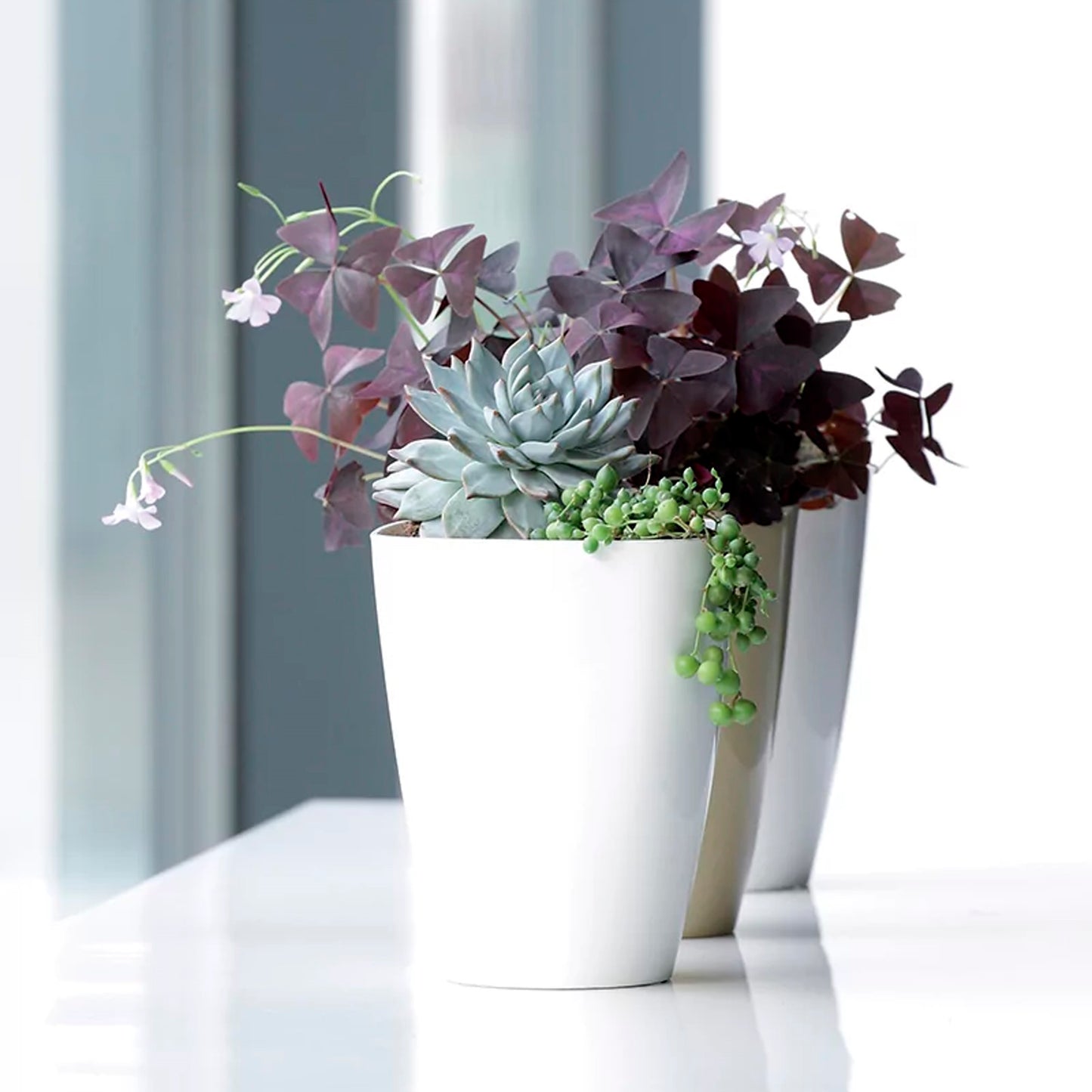 Maceta Coubi Orchid 1,6l., Dimensiones (mm) 132x132x165, Color Antracita_3