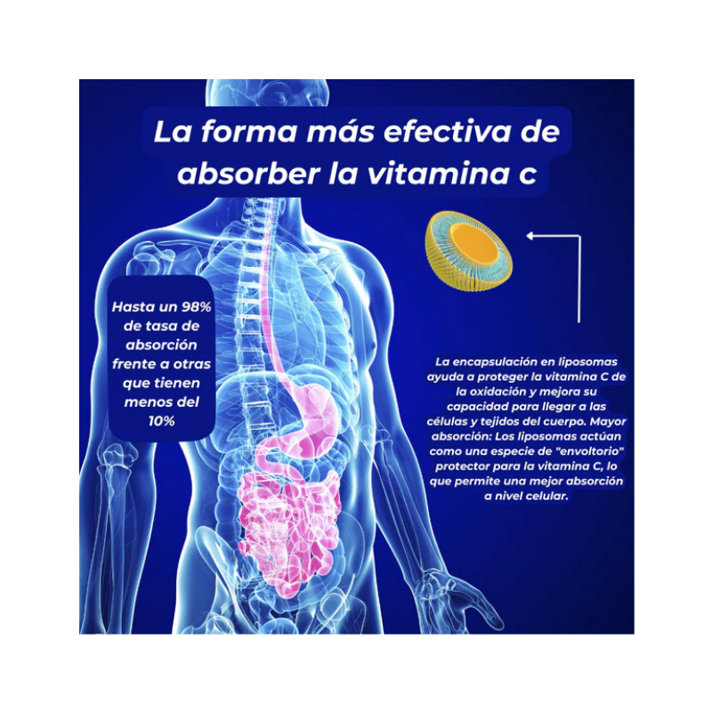 Vitamina C Liposomal Efne 500 Ml_4