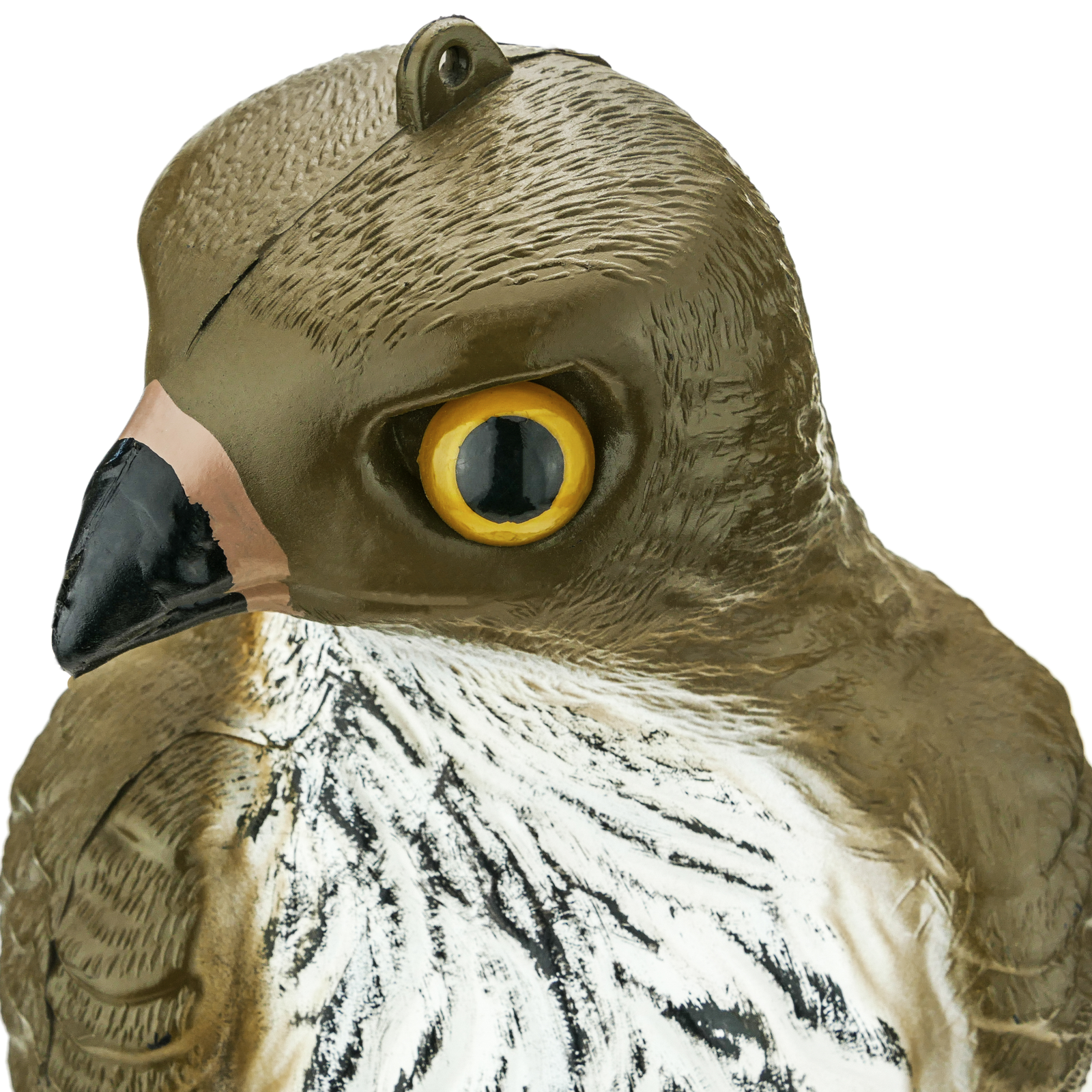 Ahuyentador De Aves Tipo Estatua Halcón Con Ojos Reflectantes 40cm_4
